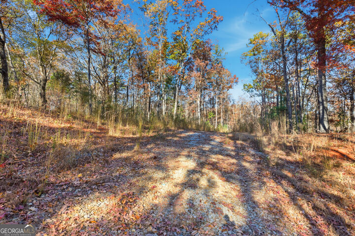 Property Photo:  0 Buckhorn Road  GA 30523 