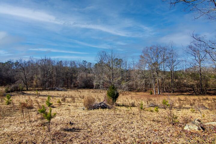 Property Photo:  0 Chestnut Grove Road  GA 31826 