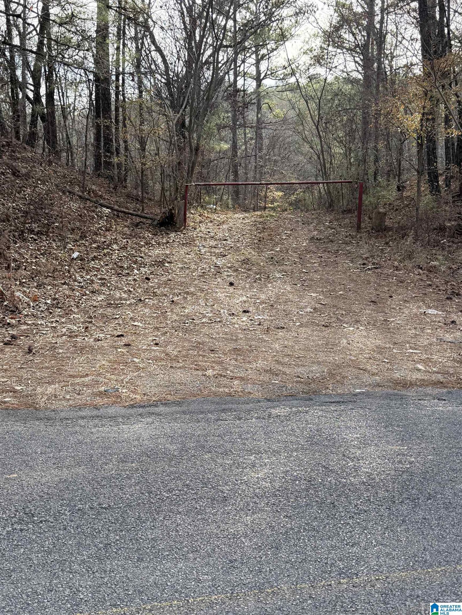 Property Photo:  0 Apollo Drive 26  AL 35014 