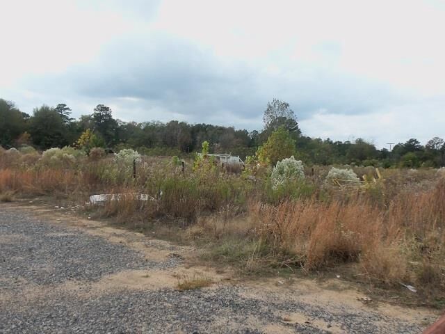 Property Photo: Tbd Florey Lake Road TX 75662