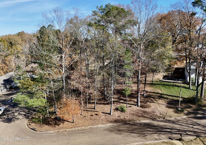 Property Photo: 0 Brighton Drive MS 39056