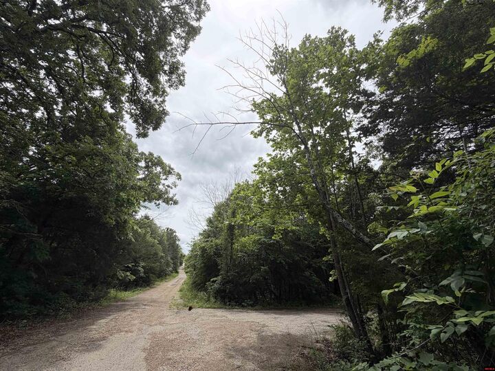 Property Photo: 705-26034-000 Clark Lane AR 72512
