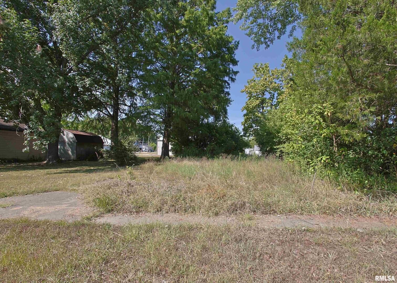 Property Photo:  123 E Pulley Street  IL 62949 
