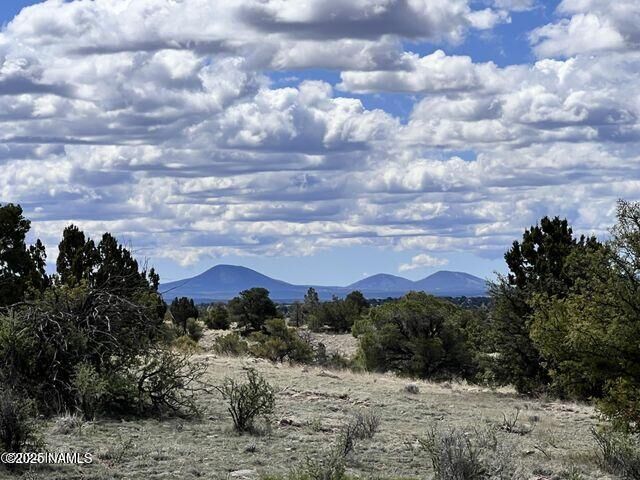 Property Photo:  6661 S Roadrunner Lane  AZ 86046 