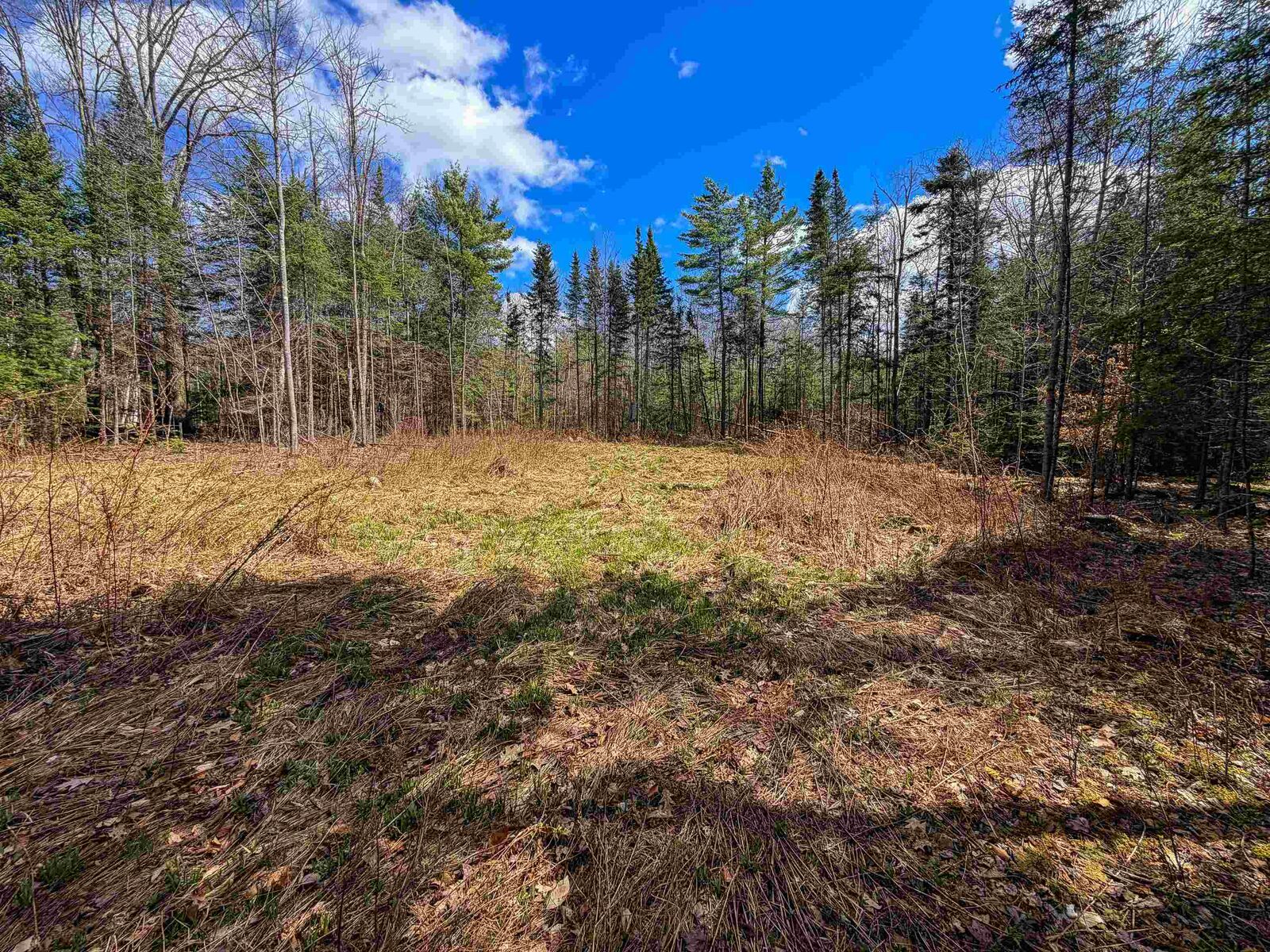 Property Photo:  40 Bear Paw Trail  NH 03561 