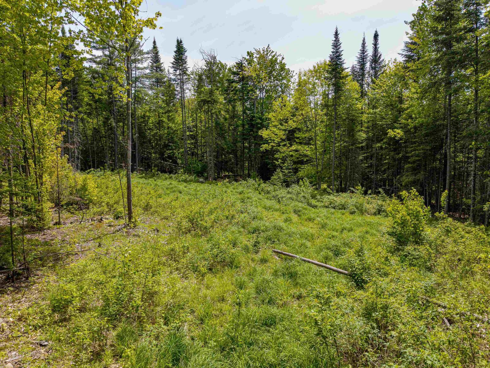 Property Photo:  40 Bear Paw Trail  NH 03561 
