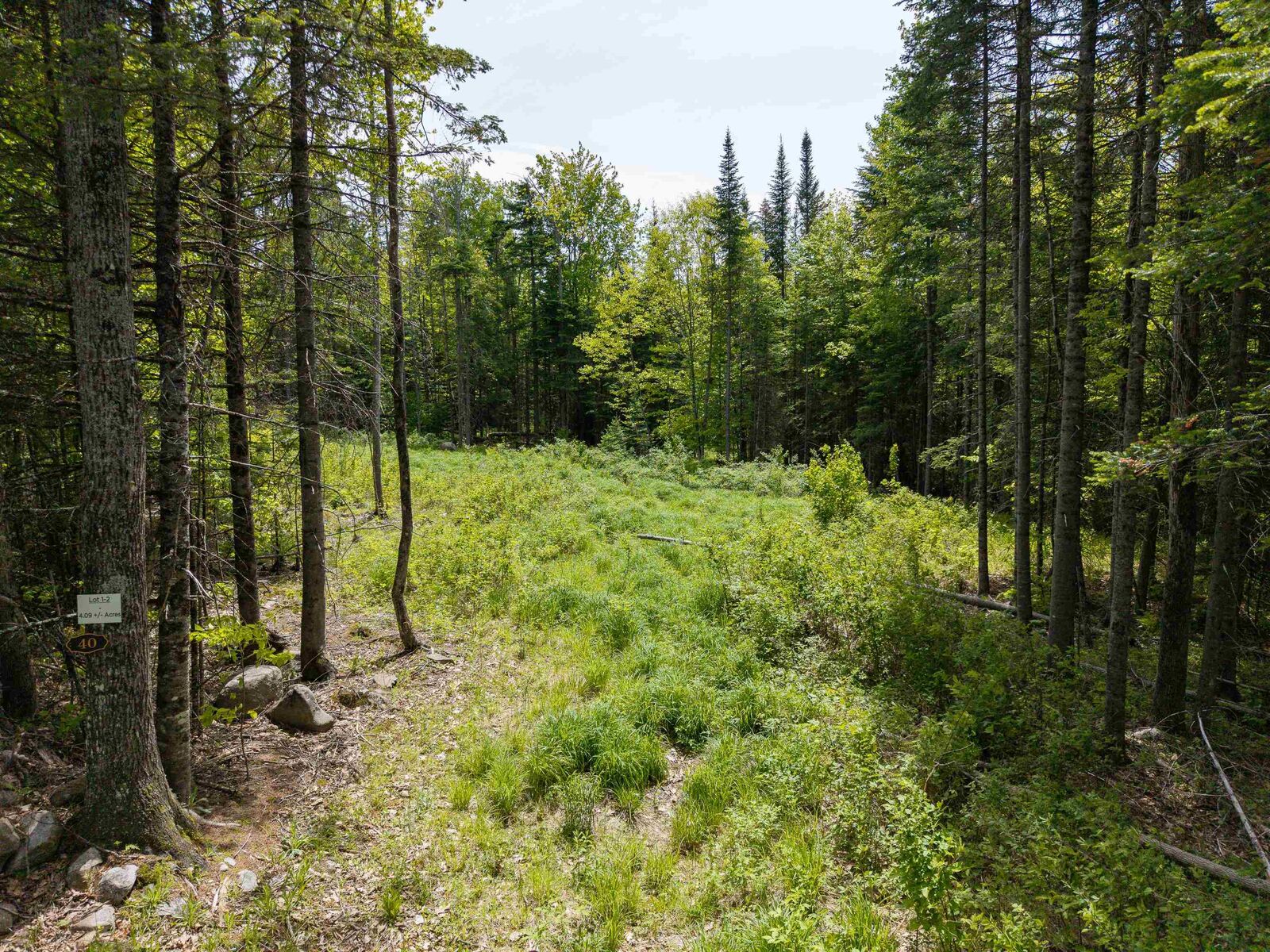 Property Photo:  40 Bear Paw Trail  NH 03561 