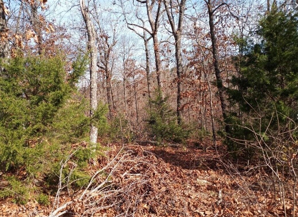 Property Photo:  Lot 15 Block 5 Fountainhall Lane  AR 72715 