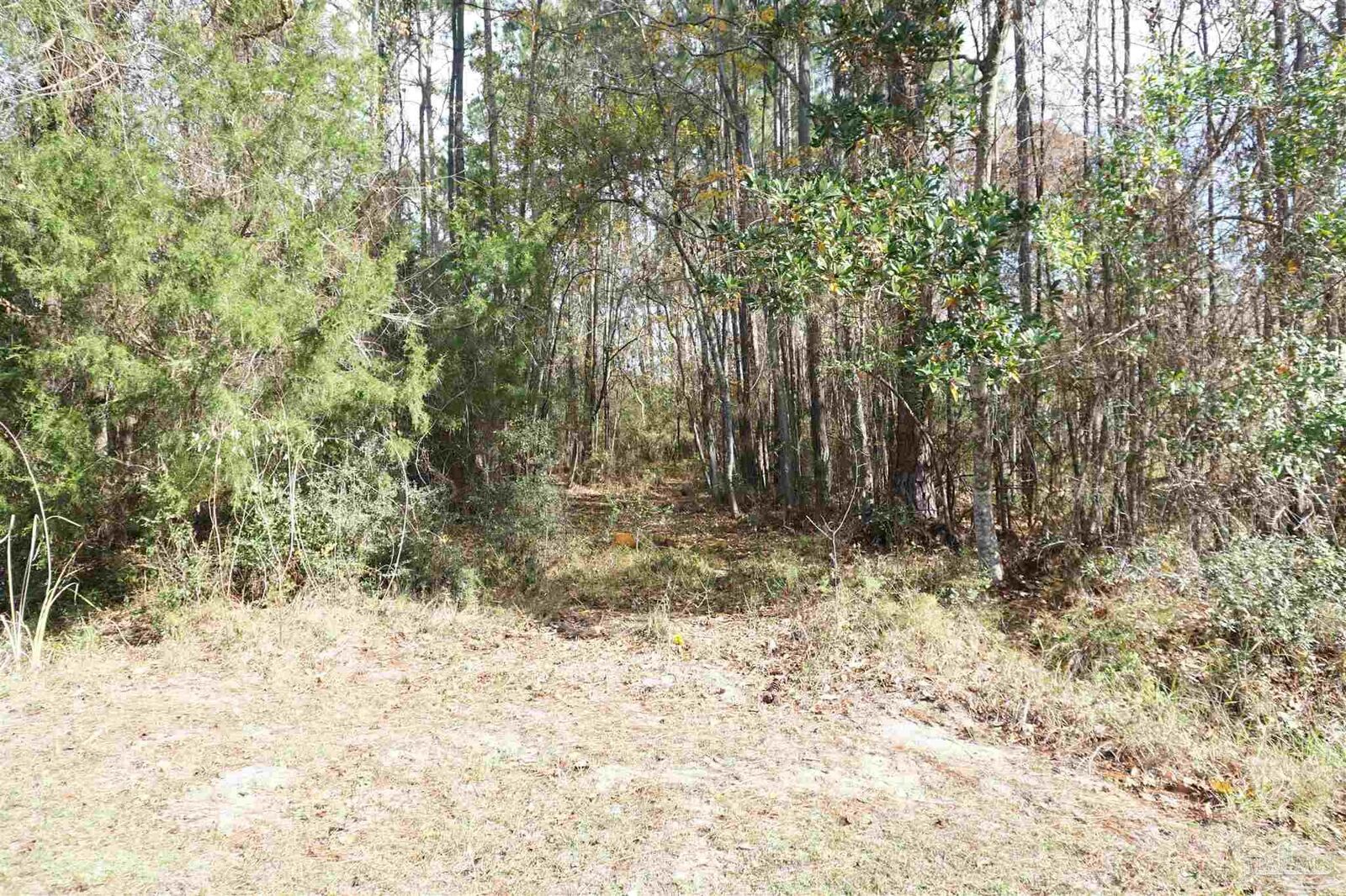 Property Photo:  396 Riola Pl  FL 32506 