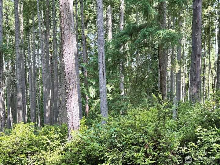 Property Photo:  12918 E 101st Street Ct  WA 98303 