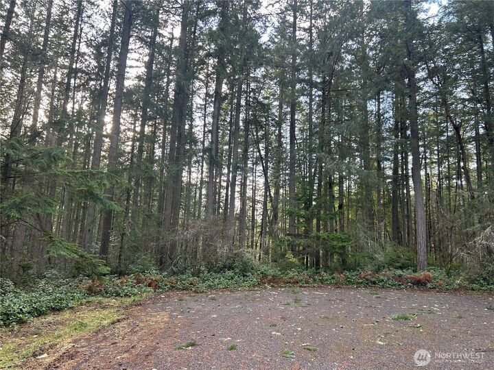 Property Photo:  12914 E 101st Street Ct  WA 98303 