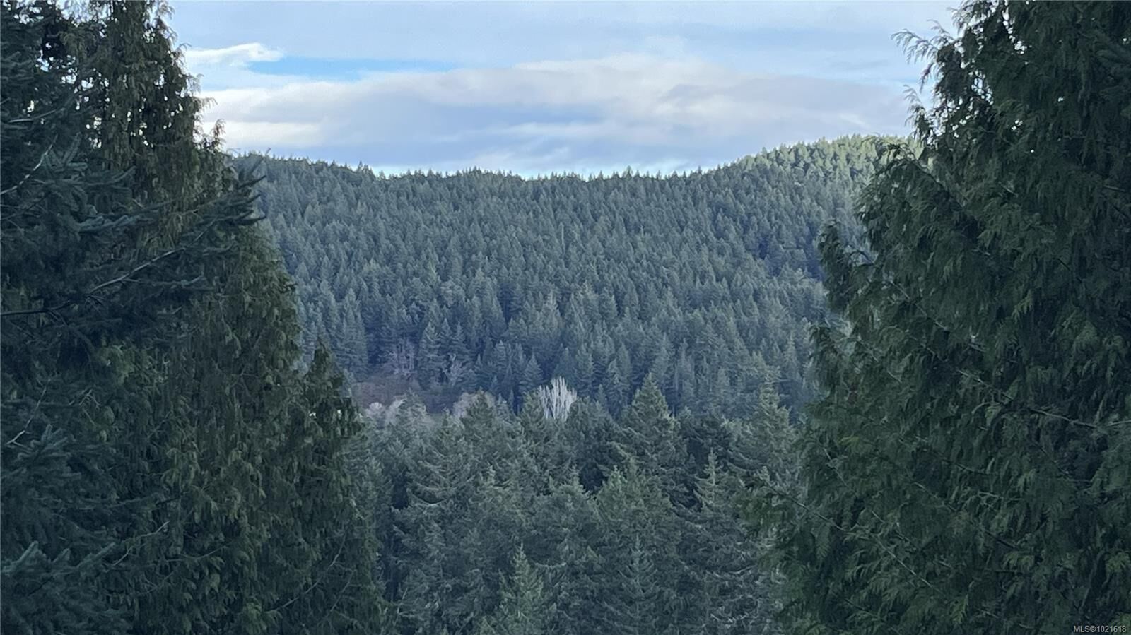 Property Photo: 4616 Mate Rd BC V0N 2M2