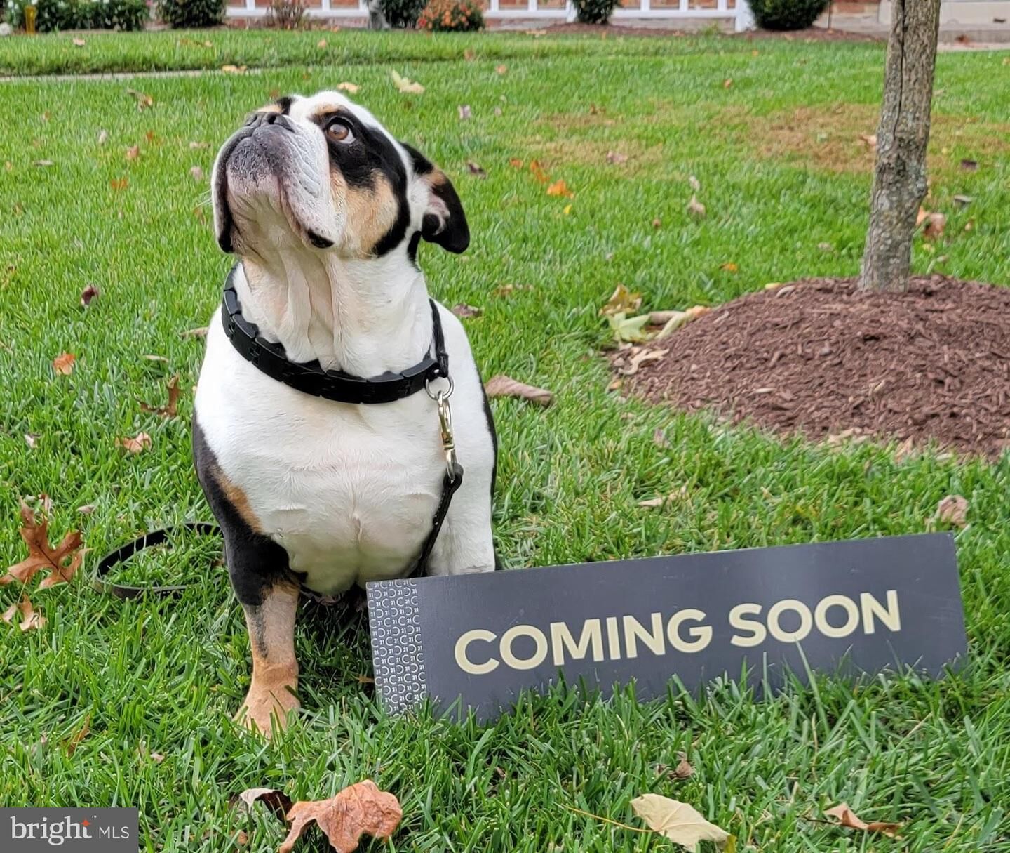 Property Photo:  9923 Maple Leaf Drive  MD 20886 