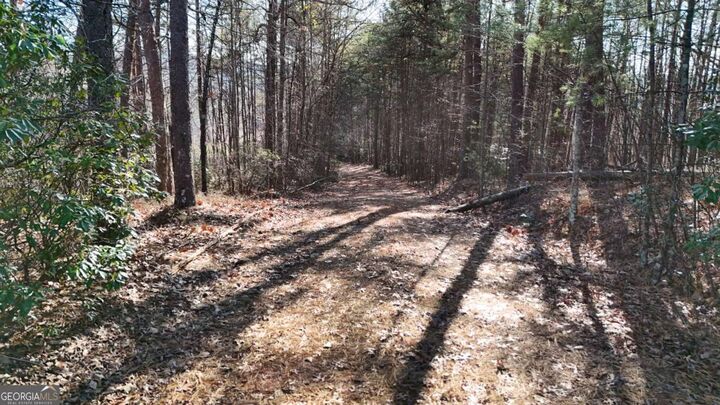 Property Photo:  0 Gold Valley Road  GA 30571 