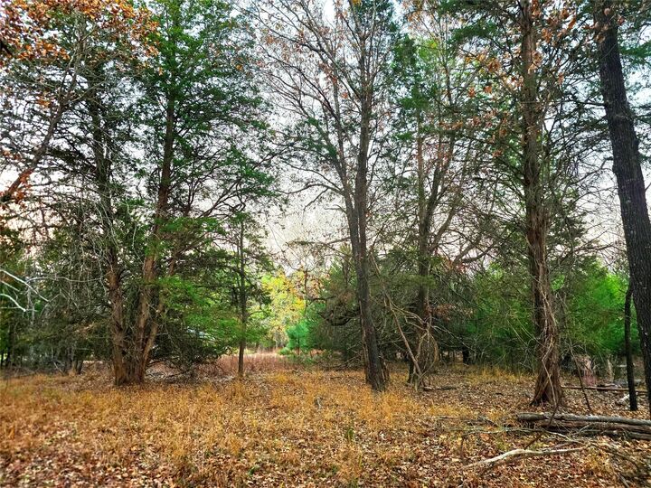 Property Photo:  0 Mallard Way  TX 75770 
