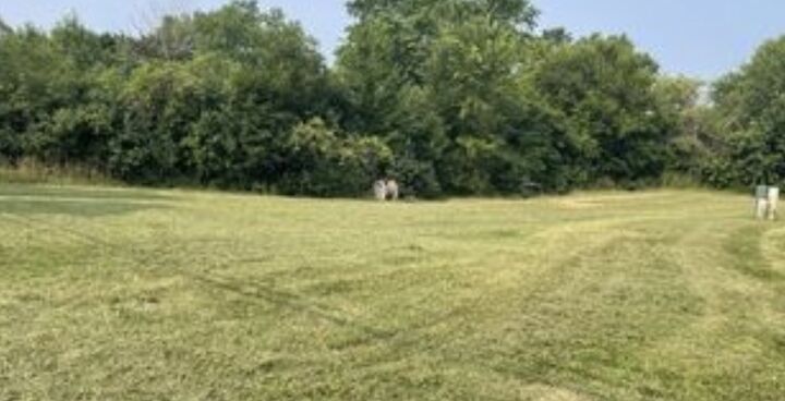 Property Photo:  220 Bluff Court  IL 60030 