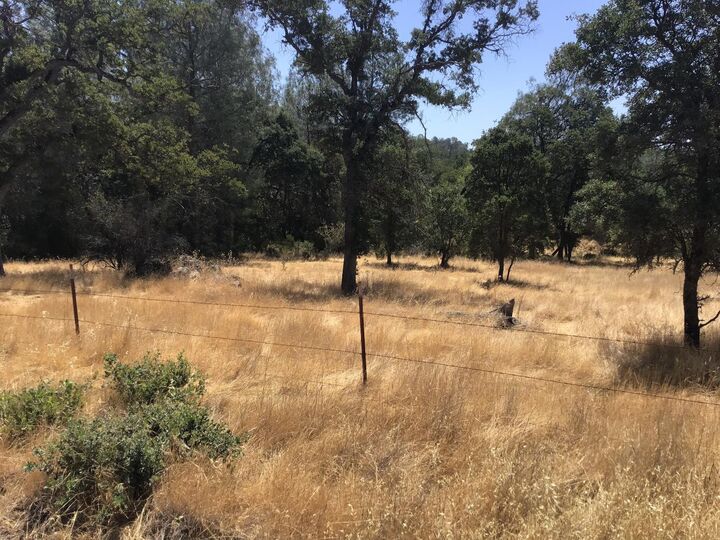 Property Photo:  3071 Chestnut Way  CA 95222 