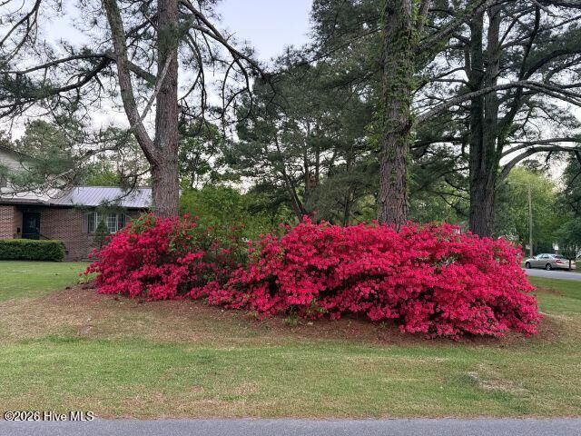 Property Photo: 604 Eleanor Street NC 27858