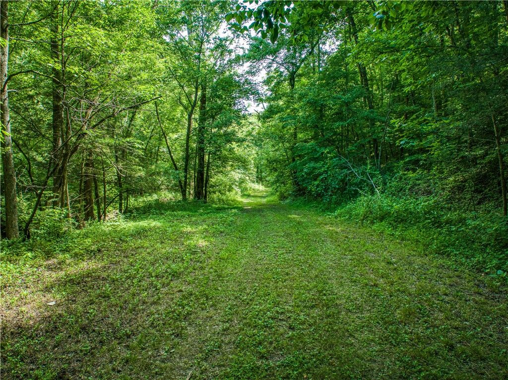 Property Photo:  County Road 231  AR 72675 