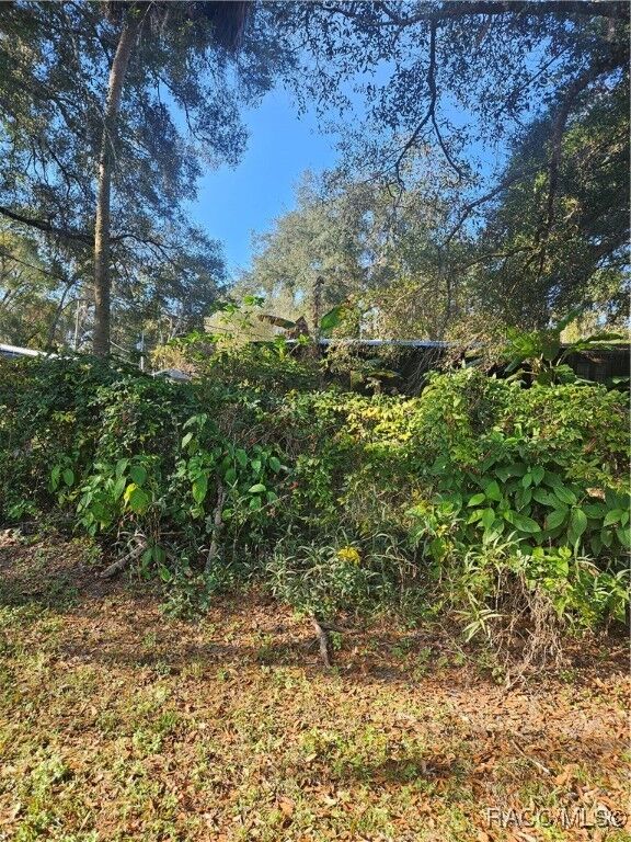 Property Photo:  1756 N Paul Drive  FL 34453 