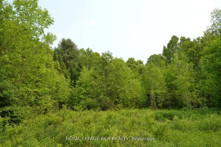 Property Photo:  1527 Madill Road  ON K0M 1R0 