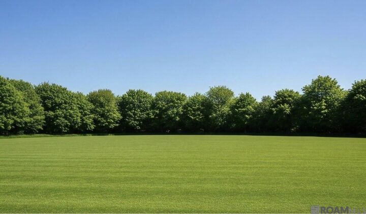 Property Photo: Tbd Old Frost Rd LA 70754