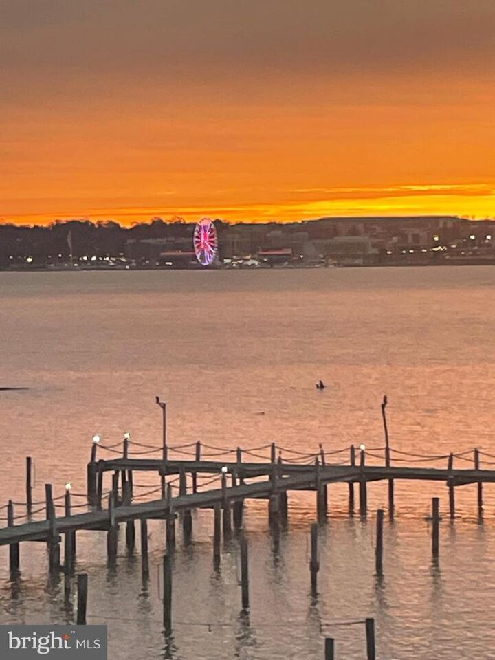 Property Photo:  1250 S Washington Street 203  VA 22314 