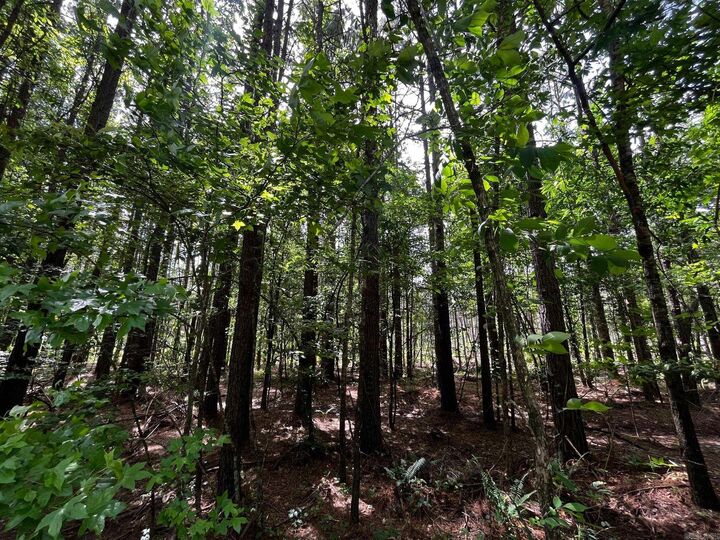 Property Photo:  40 Acres S Sardis - Lot C Road  AR 72011 