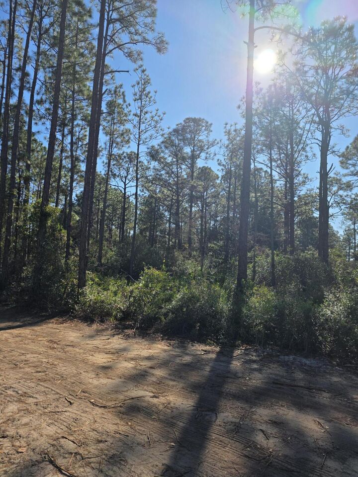 Property Photo:  Lot 25 Quail Park  FL 32459 