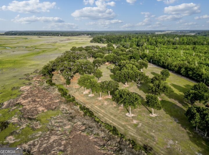 Property Photo: 3917 Harris Neck Road NE GA 31331