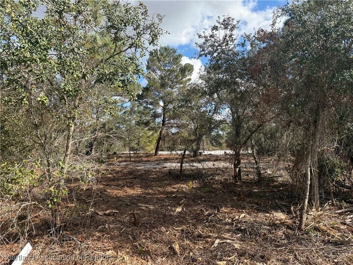 Property Photo:  642 Lake Tina Drive  FL 33852 
