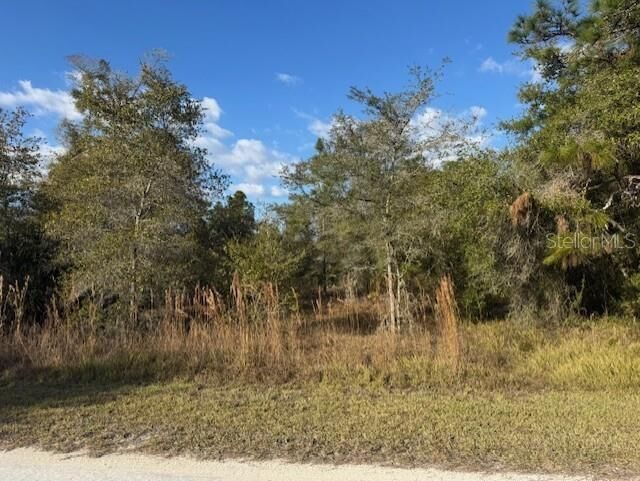 Property Photo: 35361 Kramer Street FL 33597