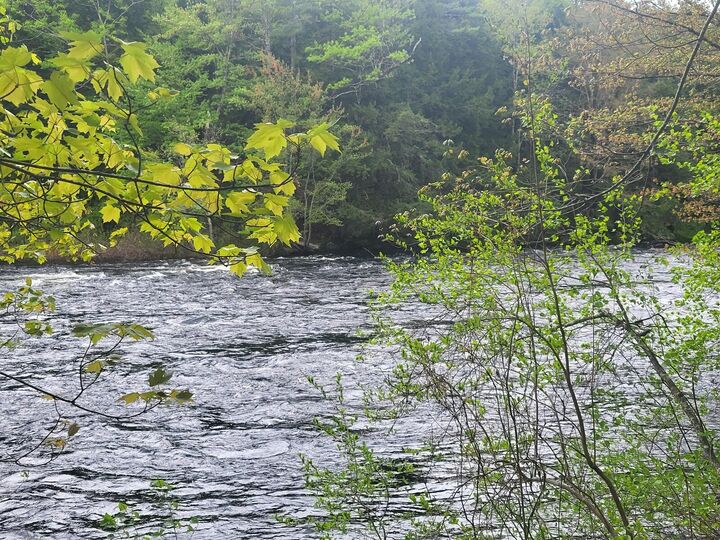 Property Photo:  R3-32 Ossipee Trail  ME 04068 