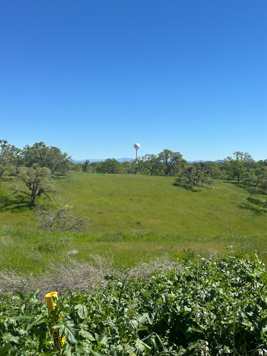 Property Photo:  49 Cormorant  CA 95254 