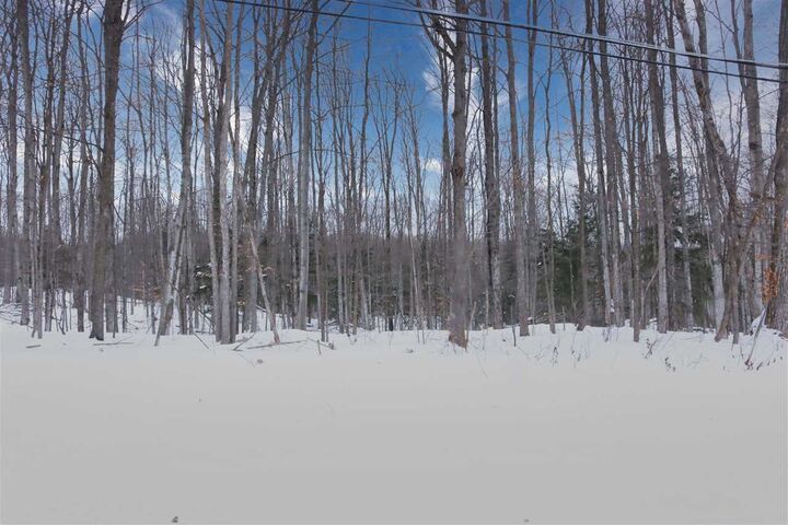 Property Photo:  Tbd Anderson Rd  MI 49712 