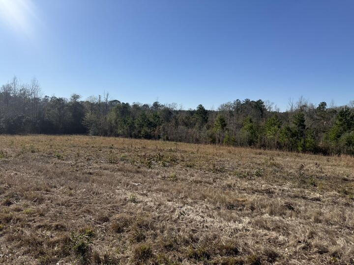 Property Photo:  Tbd Hwy 10  LA 70656 