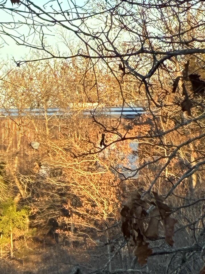 Property Photo:  4118 County Road  MO 65761 