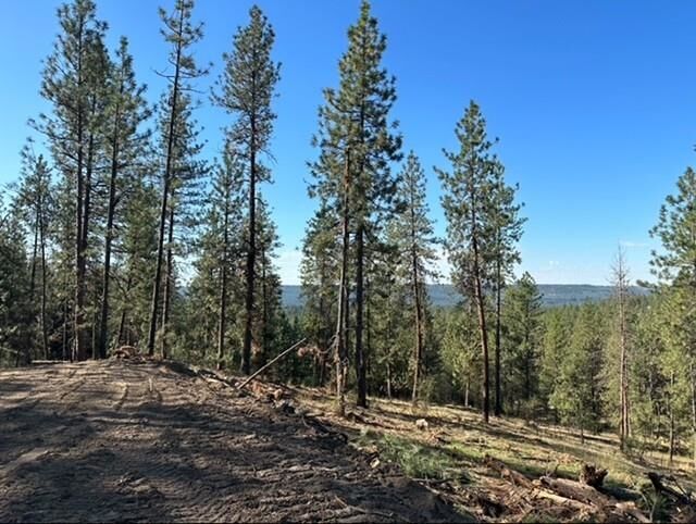 Property Photo:  Nka Weaver Way Lot 4 Of Lot 5  WA 99006 