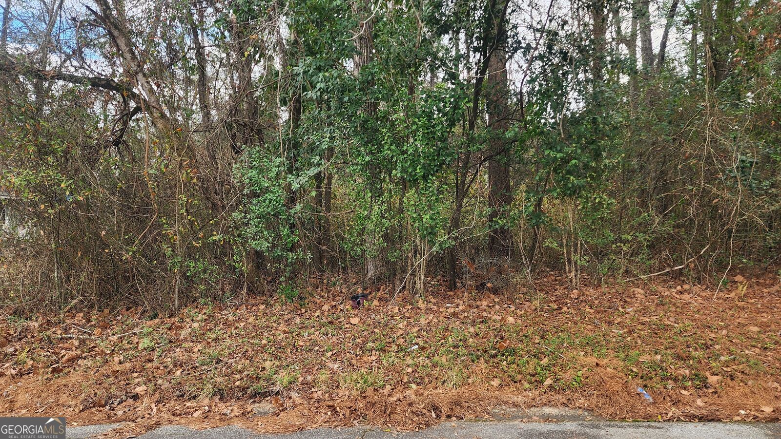 Property Photo:  0 Champion Drive  GA 31211 