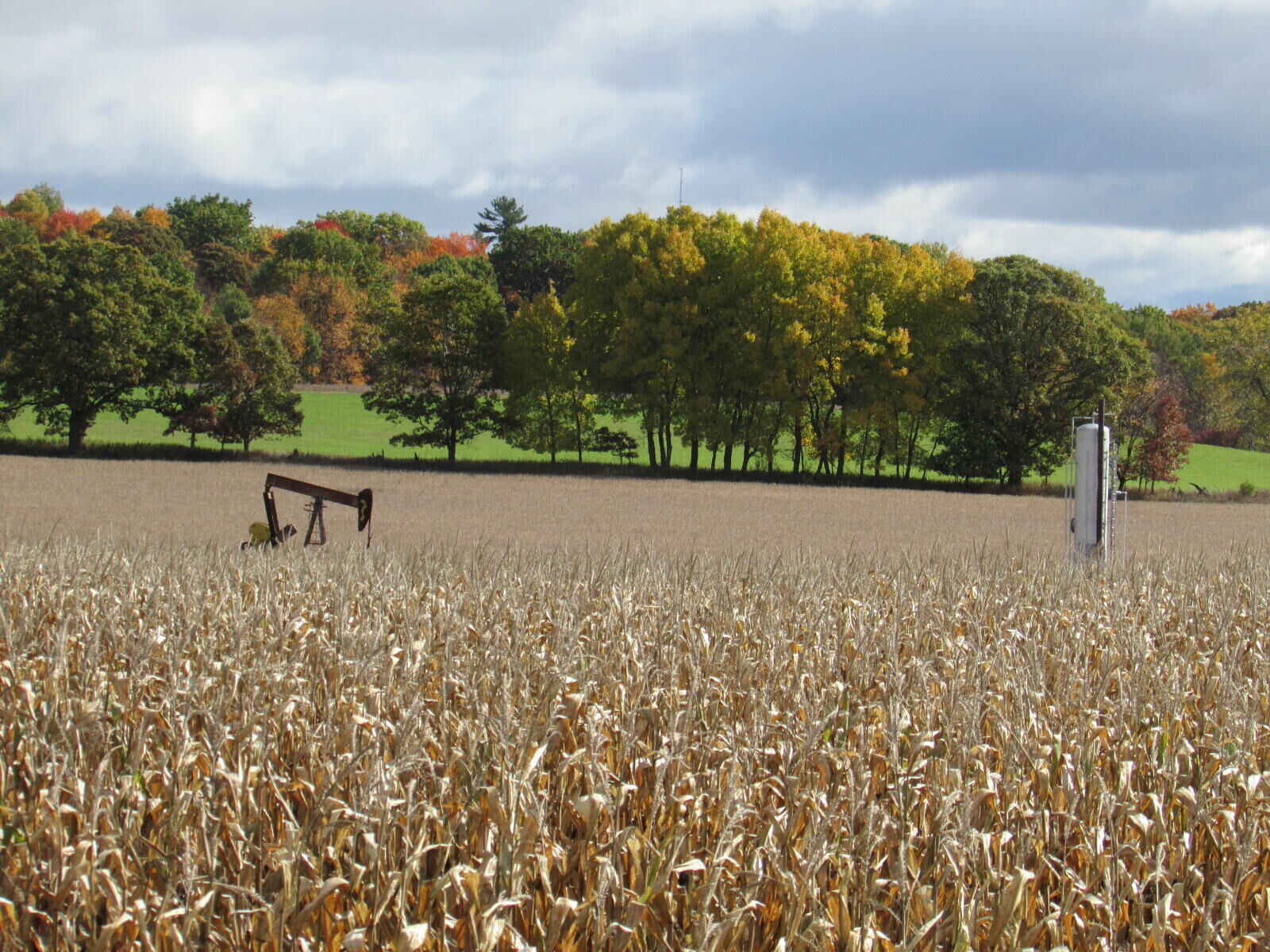 Property Photo:  V/L 0000 Briggs Road  MI 48888 