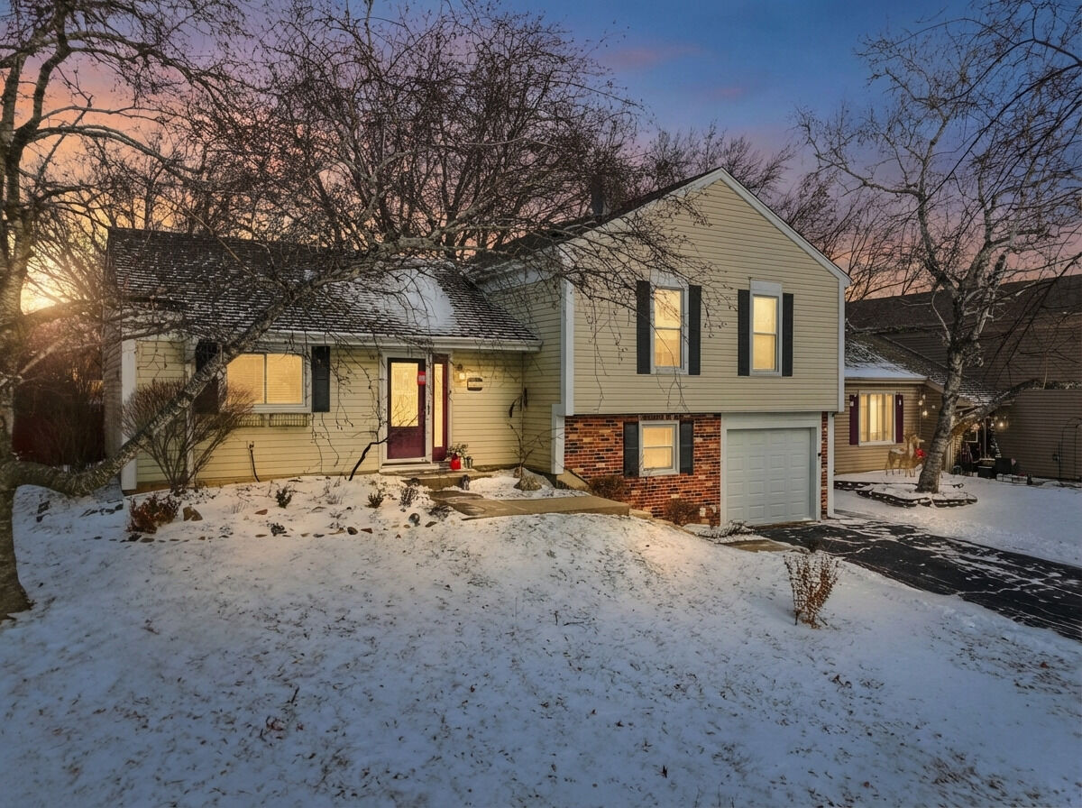 Property Photo:  113 Wallace Street  IL 60103 