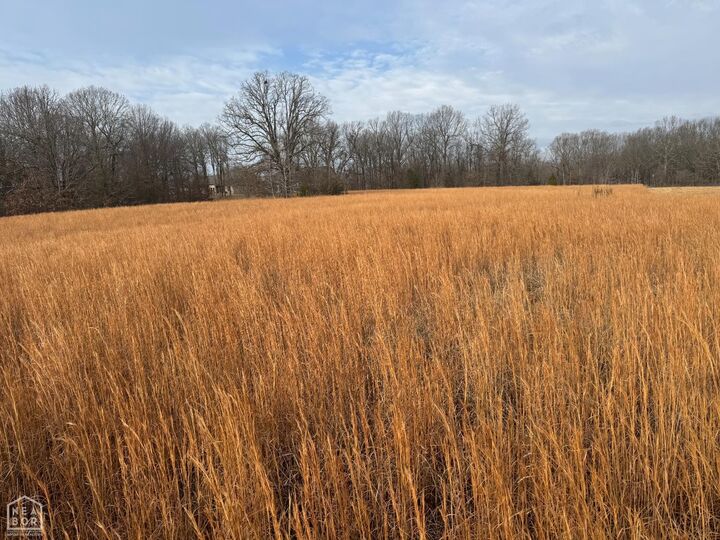 Property Photo:  1965 County Road 759  AR 72405 