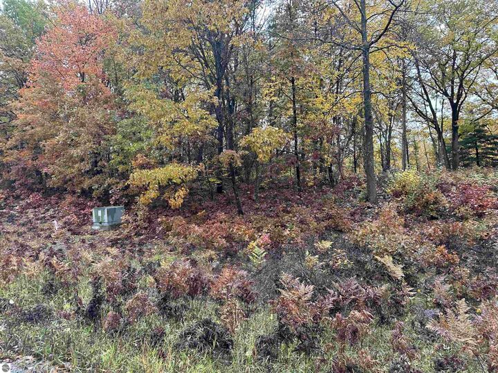 Property Photo:  Lot #5 N Circle E  MI 48622 