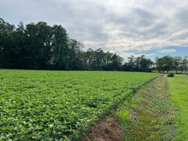 Property Photo:  Lot 22C Bullbeggar Rd  VA 23488 