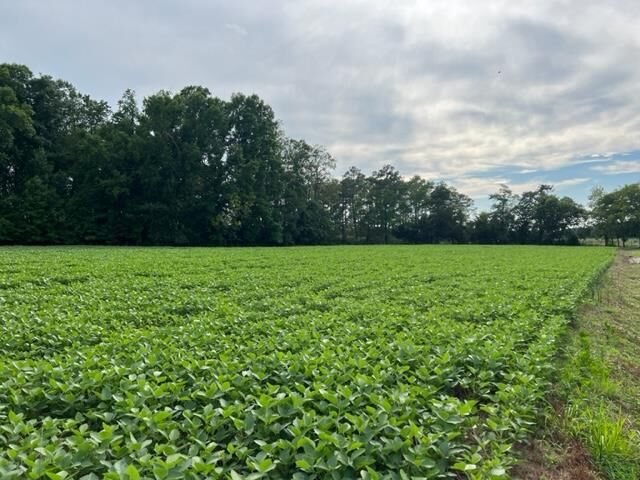 Property Photo:  Lot 22C Bullbeggar Rd  VA 23488 