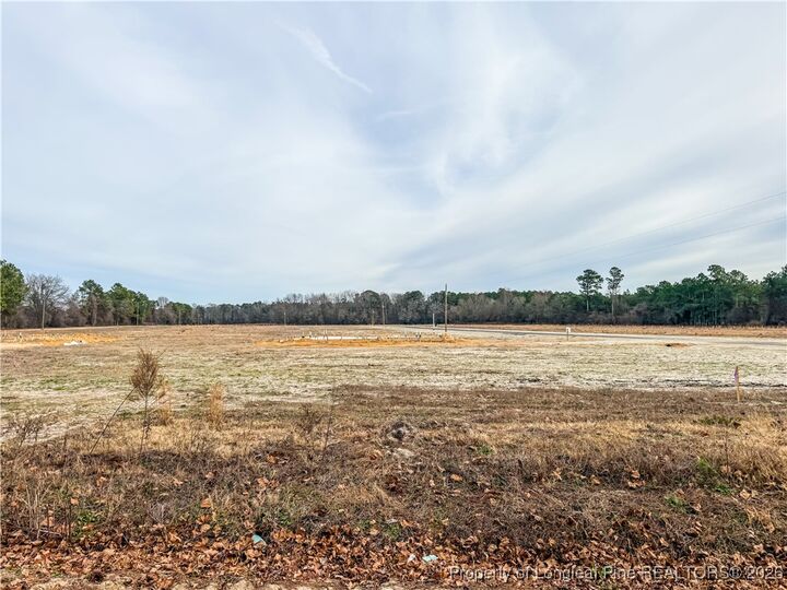 Property Photo:  3348 S River School (Lot 2) Road  NC 28395 
