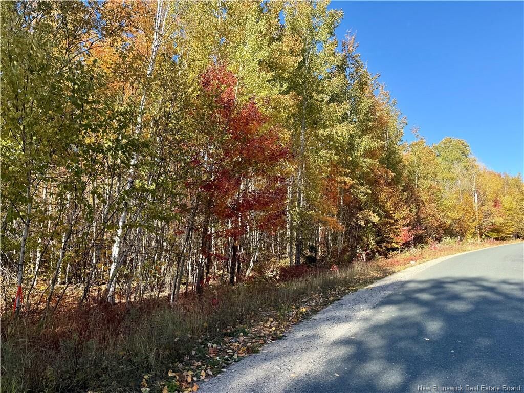 Property Photo:  Lot 96-1 Hilltop Road  NB E9E 1R9 