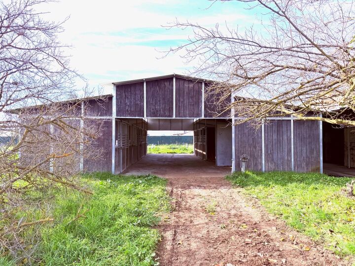 Property Photo:  35570 Avenue 14 1/2  CA 93636 