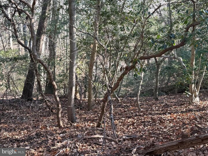 Property Photo:  8272 Overlook Road  MD 20657 