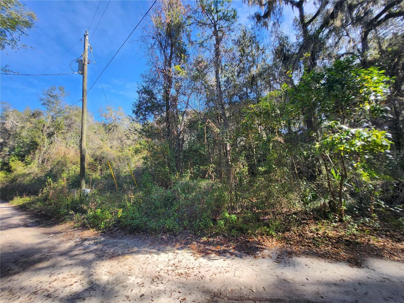 Property Photo: Tbd NE 164th Place FL 32113